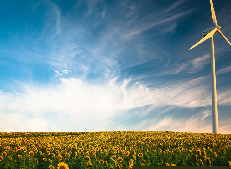 Licenciamento ambiental condiciona 1,3 mil milhões de euros de investimento empresarial
